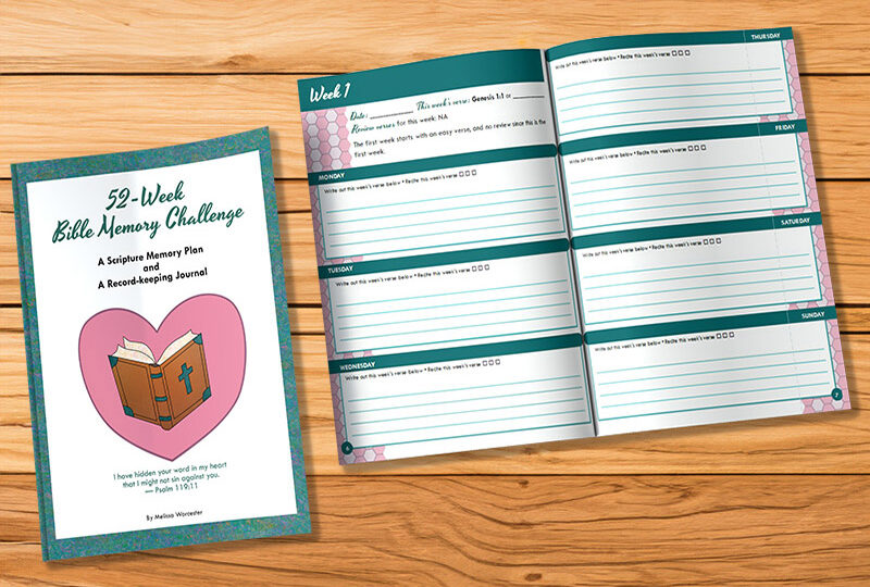 God's Love Never Fails bible study journal